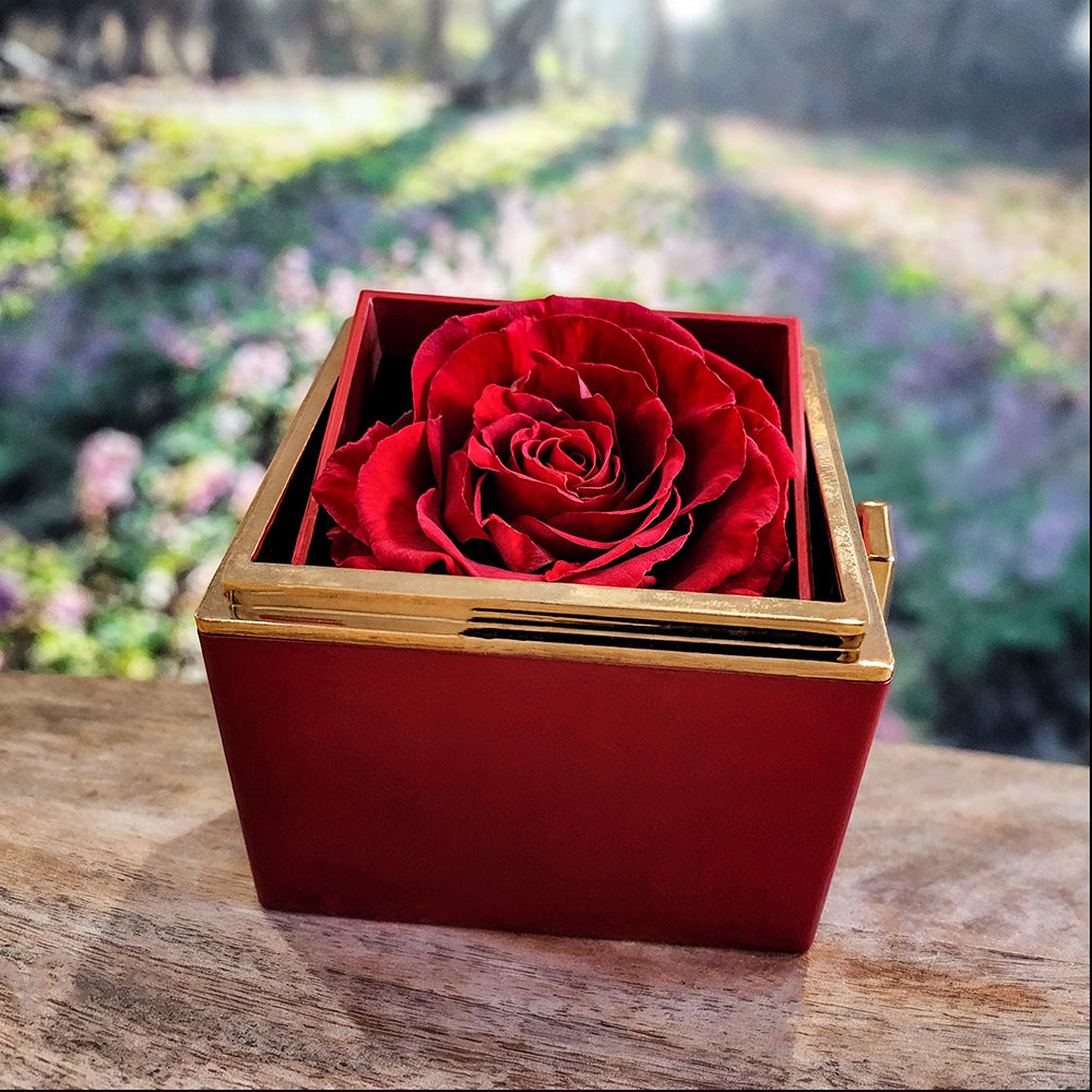 To My Mom, From Son