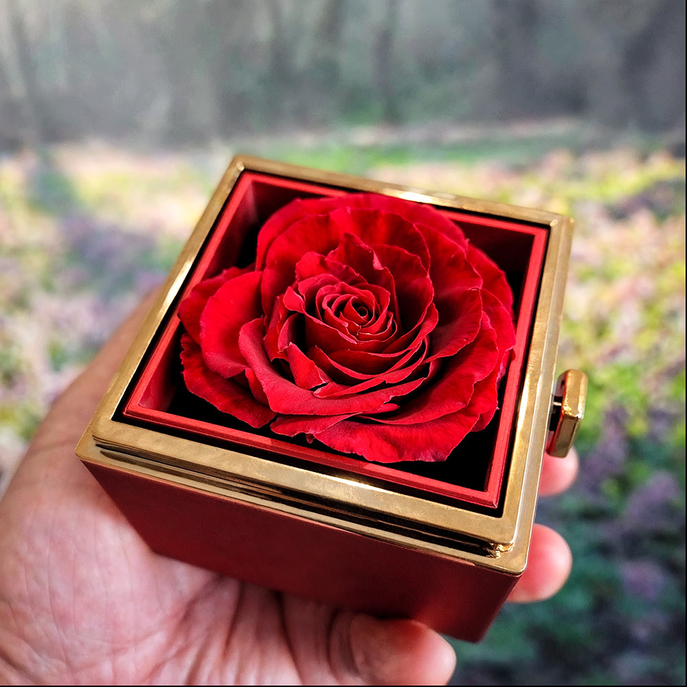 To My Mom, From Son